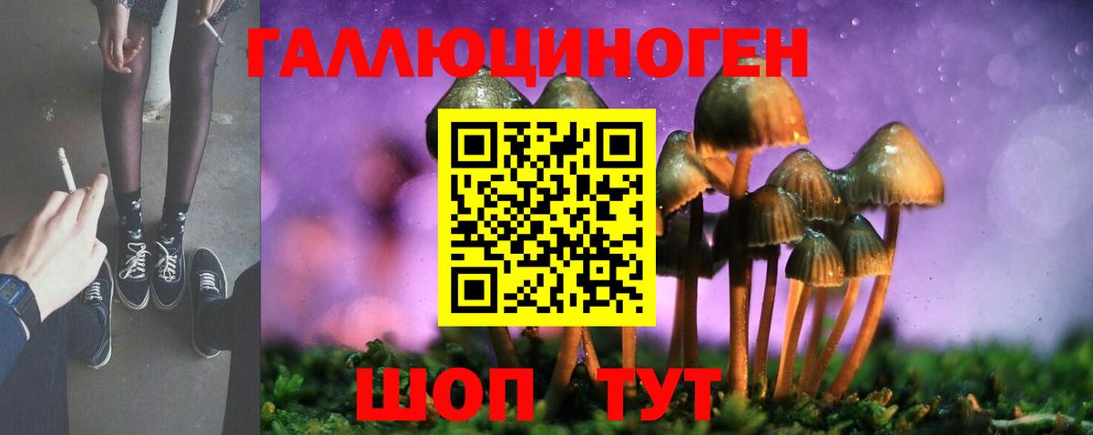Галлюциногенные грибы мухоморы  Галлюциногенные грибы Cubensis  Ефремов  Вход с VPN 